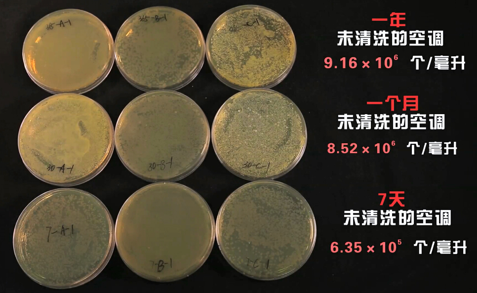高温来袭 警惕空调散热片暗藏细菌 高温来袭 警惕空调散热片暗藏细菌